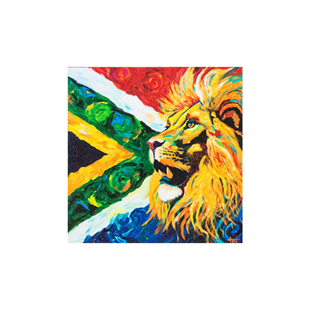 South African Magnets (4x4)