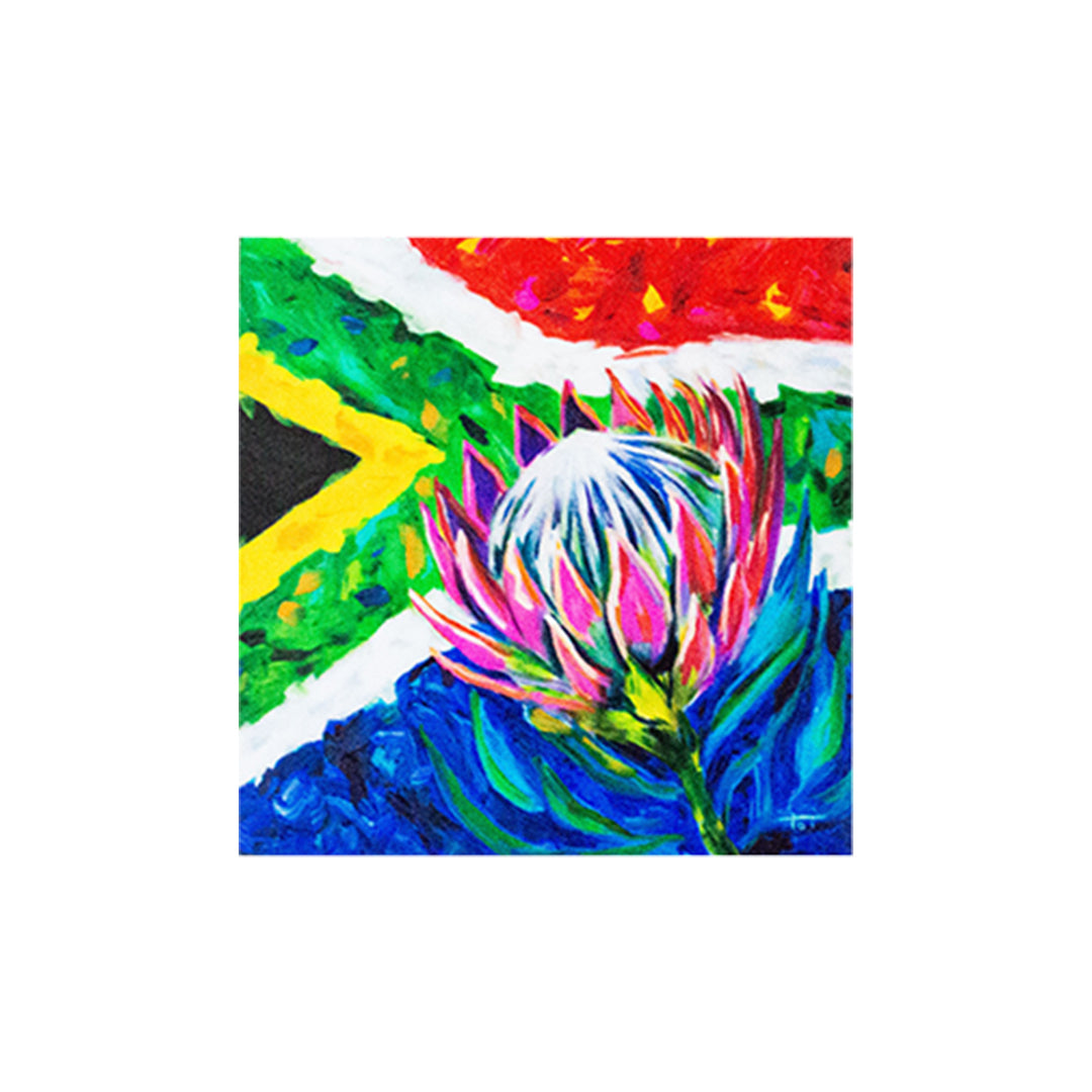 South African Magnets (4x4)